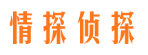 罗江找人公司